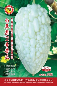 白苹果2号苦瓜（1279）