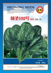 绿圣102号菠菜（2132）