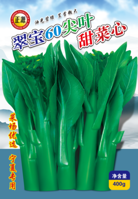 翠宝60尖叶菜心（2125）