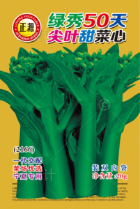 绿秀50天尖叶甜菜心（3166）